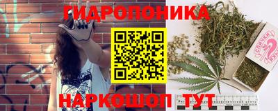 PSILOCYBIN Будённовск