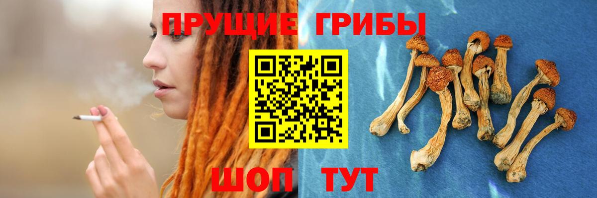 Галлюциногенные грибы мицелий Смоленск