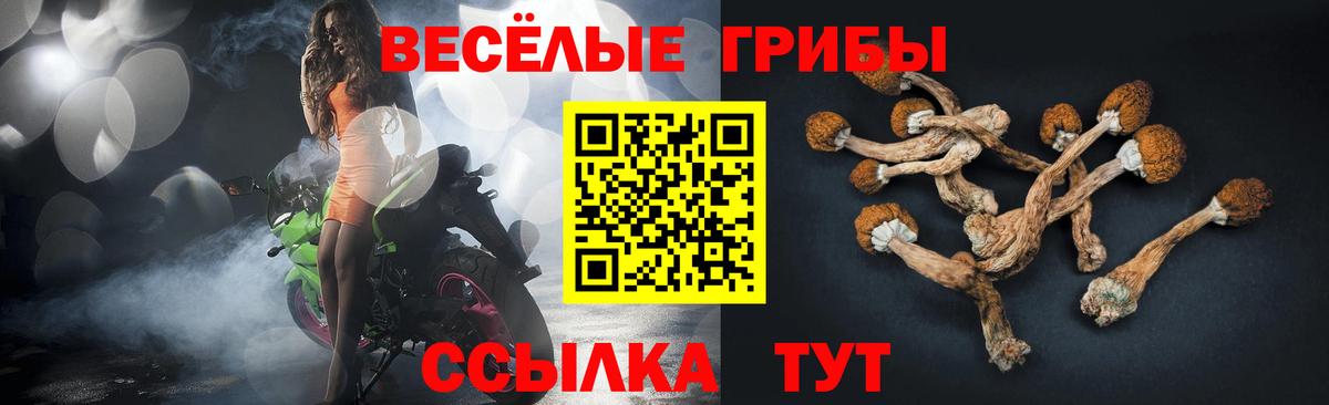 Смоленск  Галлюциногенные грибы мухоморы  Вход с VPN 