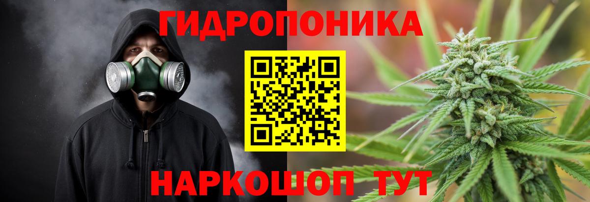 Марихуана OG Kush  Конопля White Widow  Вход с VPN  Смоленск  Конопля тримм 